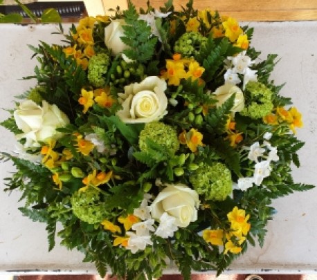 Yellow Posy