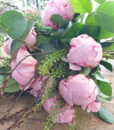 Peonies * check availibilty