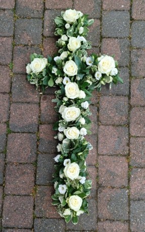Classic rose and foliage cross
