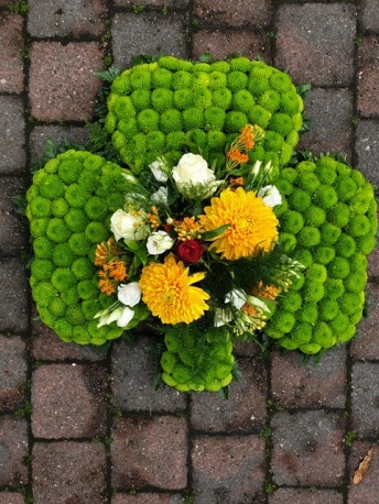 Shamrock Tribute